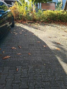 Foto - Parkplatz in der Klausenburger Straße 64295 Darmstadt