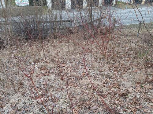 Foto - Grundstück zur Miete in Annaberg-Buchholz