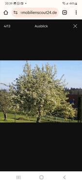 Foto - Etagenwohnung zur Miete in Bad Herrenalb