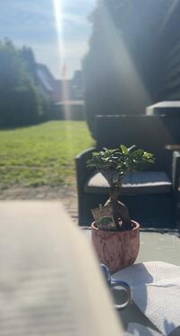 Foto - Etagenwohnung zur Miete in Calden