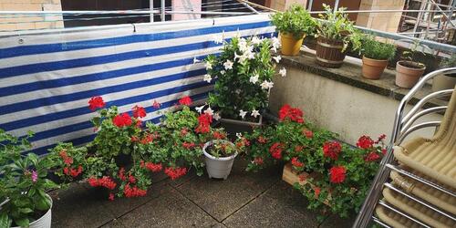 Foto - Maisonettenwohnung in Ingersheim zur Miete