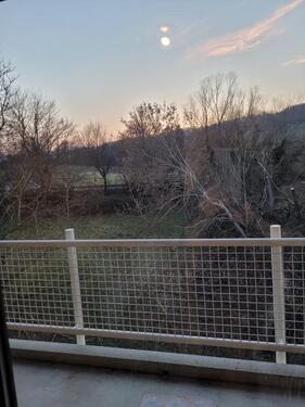 Foto - 1 Zimmer Etagenwohnung zum Kaufen in Bad Bergzabern