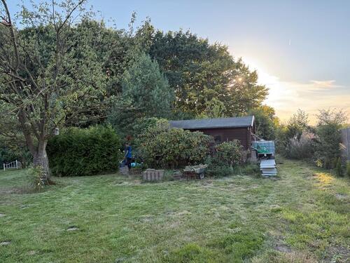 Foto - Garten Freizeit Fläche Schrebergarten