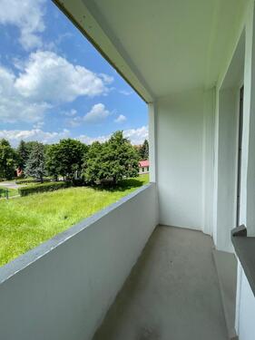 Foto - Charmante 3-Raumwohnung in Zittau auf der Südstraße!
