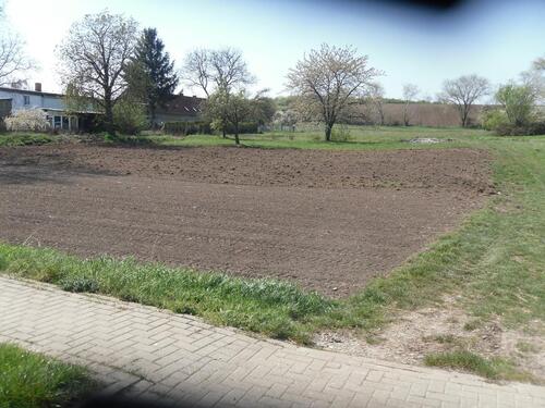 Foto - Grundst&uuml;ck in Bad Salzdetfurth zur Miete