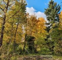 ruhig und sonnig gelegenes Einfamilienhaus mit großem Garten - Albstadt Gemarkung Onstmettingen