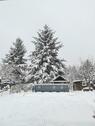 Foto - Einfamilienhaus in Leimen zum Kaufen