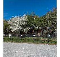 Parkplatz im Herzen von Bad Aibling
