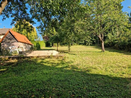 Foto - Garten zu Verpachtung ca 400-500qm