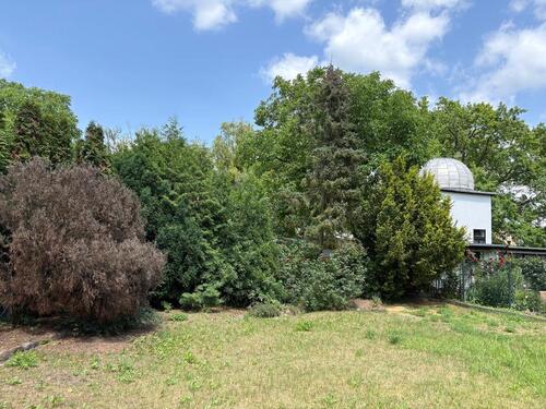 Foto - Einfamilienhaus in Potsdam