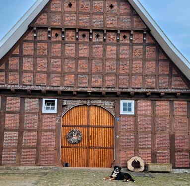 Foto - 8 Zimmer Bauernhaus, Landhaus in Bramsche