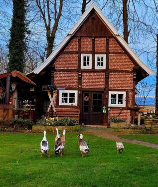 Foto - Bauernhaus, Landhaus in Bramsche zum Kaufen