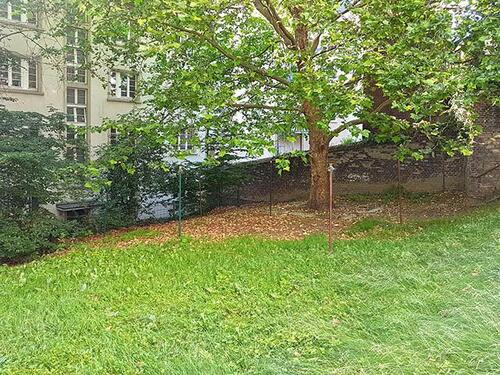 Foto - 2 Zimmer Etagenwohnung zur Miete in Wuppertal