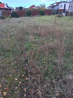 Foto - Einfamilienhaus in Sankt Leon-Rot zum Kaufen