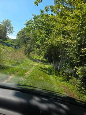 Foto - Grundstück zur Miete in Oppenheim