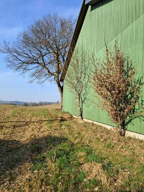 Foto - Hallenstellplatz Boot LKW Wohnmobil Oldtimer Sommer-Winterlager