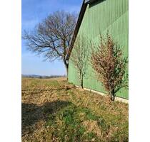 Hallenstellplatz Boot LKW Wohnmobil Oldtimer Sommer-Winterlager - Westensee