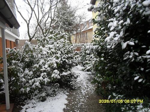 Foto - Mietwohnung in Hitdorf für Individualisten