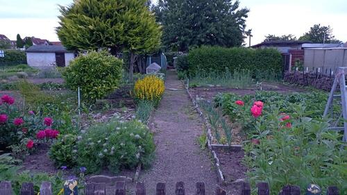 Foto - Garten in Landsberg OT Gütz abzugeben