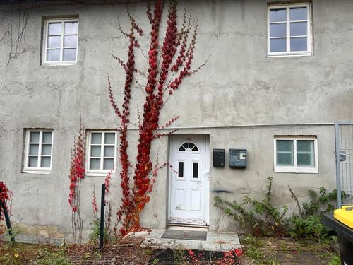 Foto - 2 Zimmer Einliegerwohnung mit Garten ab sofort zu vermieten