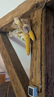 Foto - große Wohnung frei - 800,00&nbsp;EUR Kaltmiete, ca.&nbsp; 100,00&nbsp;m&sup2;