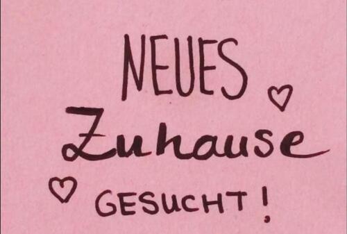 Foto - 2 Zimmer Wohnung für ältere Dame