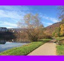 2-Zi-Wohnung in Neckargemünd inkl. 15 m2 Balkon, EK, Stellplatz