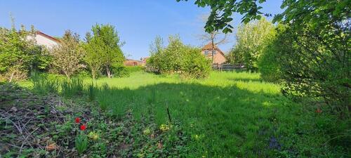 Foto - Einfamilienhaus zum Kaufen in Seesen