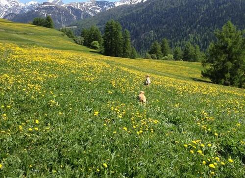 Foto - andere zur Miete in Wuppertal