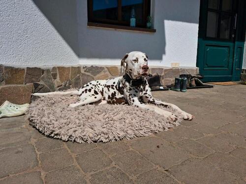 Foto - Etagenwohnung in Buseck zur Miete