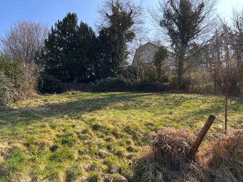Foto - Garten Schrebergarten Gemüse Obst Pacht 400 m² Bonn Bad Godesberg