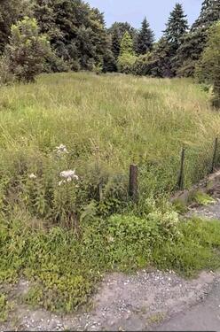 Foto - Baugrundstück 2327 qm in direkter Wesernähe