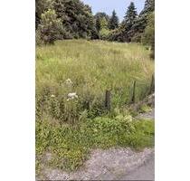 Baugrundstück 2327 qm in direkter Wesernähe - Minden Kuhlenkamp