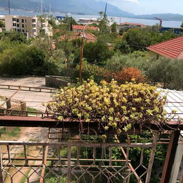 Foto - 2 Zimmer Wohnung Montenegro Bijela