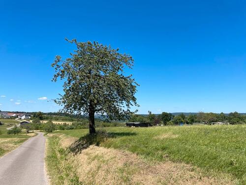 Foto - Grundst&uuml;ck in Schorndorf zur Miete