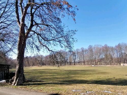 Foto - Praxis oder Büroräume direkt am Park in Schleiz