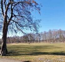Praxis oder Büroräume direkt am Park in Schleiz