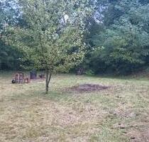 Sonniges Gartengrundstück Freizeitgrundstück zu verpachten - Ettenheim