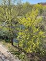 Foto - 5 Zimmer Maisonettenwohnung in Lübben (Spreewald)