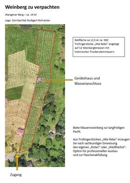 Foto - Weinberg zu verpachten (ca. 12,5 ar) auf Weinbergterassen