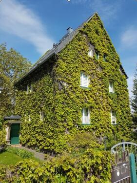 Foto - Haus für Großfamilie in Limbach-Oberfrohna am Stadtpark