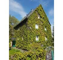 Haus für Großfamilie in Limbach-Oberfrohna am Stadtpark