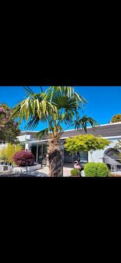 Foto - Traum-Bungalow, 5 Zi., 250 m2, Pool, Heizung und PV neu, autark