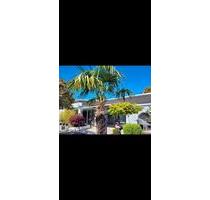 Traum-Bungalow, 5 Zi., 250 m2, Pool, Heizung und PV neu, autark - Ganderkesee
