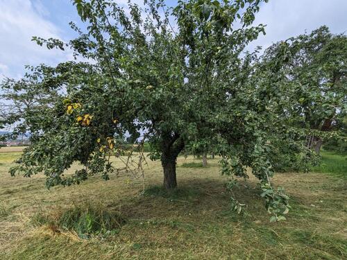 Foto - Grundstück zur Miete in Bietigheim-Bissingen