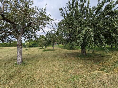 Foto - Grundstück in Bietigheim-Bissingen