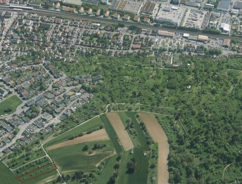 Foto - Streuobstwiese in Zell- Gartengrundstück