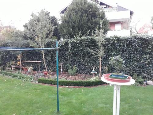 Foto - 4 Zimmer Etagenwohnung in Oldenburg