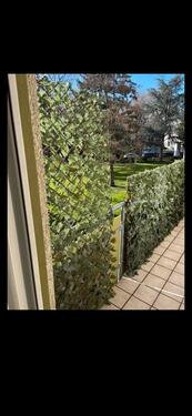 Foto - Etagenwohnung zur Miete in Köln