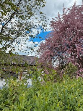 Foto - Einfamilienhaus, Winkelbungalow, ca. 850 qm,